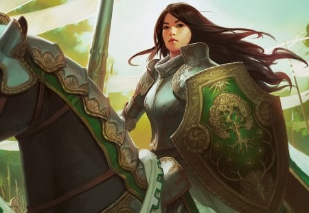 Oriental Knight - shield, horse, dark hair, girl, knight, warrior, games, long hair, female, armour, magic the gathering, weapon, woman