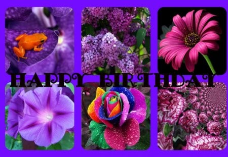 FOR DEAR PURPLE-HAZE - dear, friend, happy, birthday