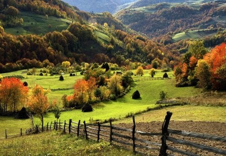 Nature - hill, nature, landscape, field, fence