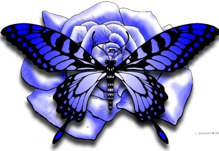 Blue rose-butterfly