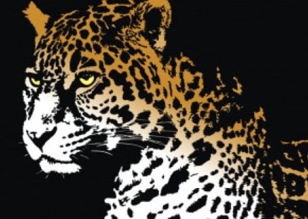 Leopard - leopards, animals