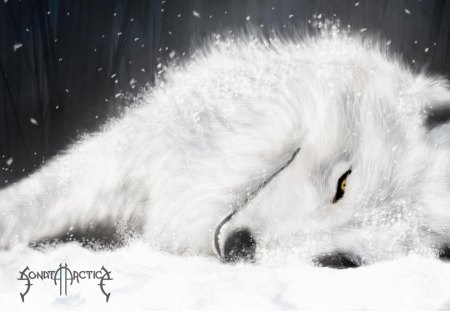 Sonata Arctica Wolf - metal, sonata, wolf, arctica