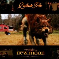 New Moon: Quileutes