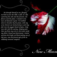 New Moon: Wolves of the Twilight