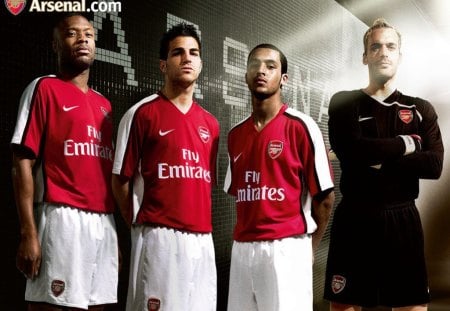 arsenal home kit - sports, emirates, players, gallas, soccer, theo, fabregas, walcott, arsenal, game, cesc, football, almunia