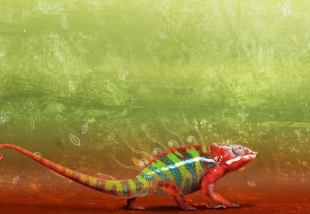 ColourFull - iguana, lizard, reptile