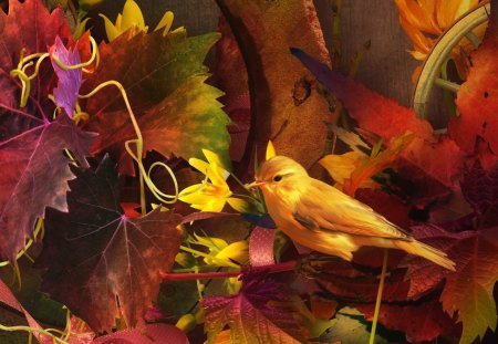 Spring of Autumn - bird, summer, leaves, amber, wheel, breeze, change, gold, maple, orange, fall, colorful, wind, season, autumn, bright, foliage