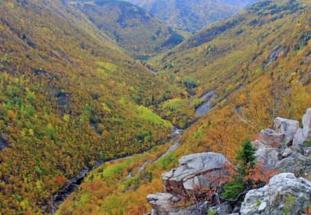 mckenzie river valley oregon - river, valley, mountains, rocks