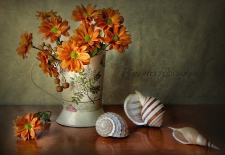 *** Beautiful Composition *** - nature, orange, color, flowers