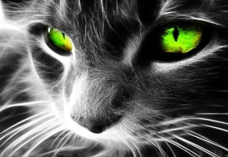 Cat Fantasy - art, cat, animals, green eye, fantasy