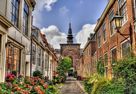 wonderful backstreet hdr - street, houses, clouds, bushes, hdr