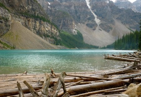 logging camp on a beautiful lake - lake, forest, mountain, logs