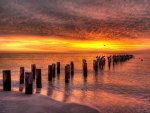 pelican convention at sunset hdr