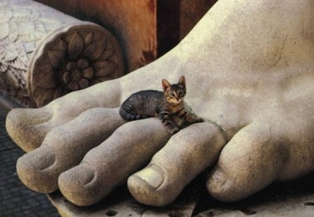 monument and kitty - cat, place, monument, cute, foot