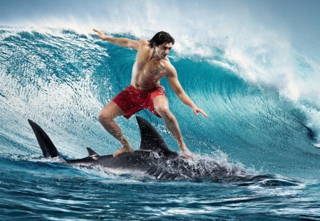 Shark surfing - water, blue, surfing, sea, guy, shark, art, wave