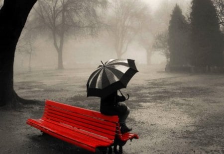 Black, White, and Red - black, white, park bench, red, rain, black and white, and red, park