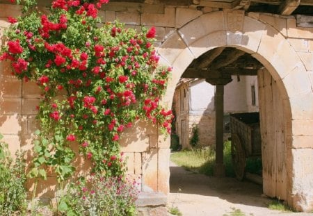 Barrio De Santa Maria Palencia - monument, flowers, italy, old