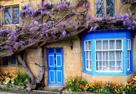 old home - house, flowers, roofs, blue window