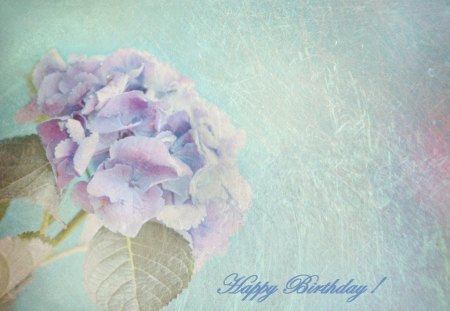 ~ ♥ღ Happy Birthday Purple-Haze ღ♥ ~ - wishes, flower, friend, birthday