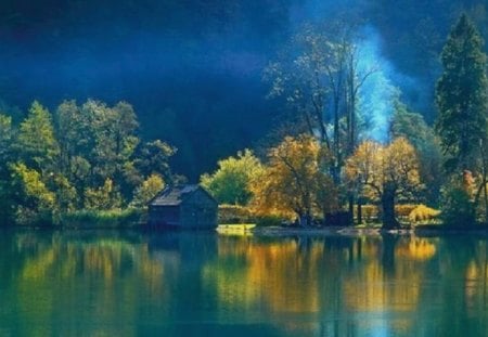 reflection in the water - lake, autumn, greenery, shrubs, plants