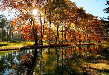 River - nature, autumn, landscape, river