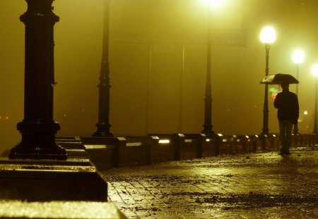 Walking Alone in a Rainy Night - rainy, alone, lamp, night, walk