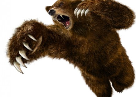 Bear - desktop wallpaper, video, games, tekken, bears