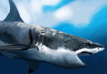 Great White - mouth, hunger, profile, underwater, shark, art