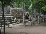 Mayan Ruins @ Coba