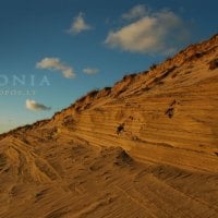 Curonia colors - Dunes