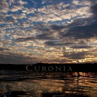 Curonia colors - Darkness