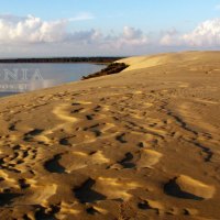 Curonia colors - Beach