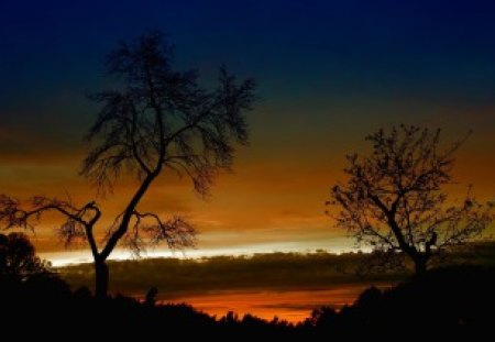 african night - clouds, trees, night, light