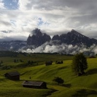 cabins in a large meadow