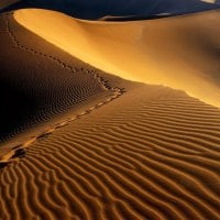 DUNES OF NAMIBIA