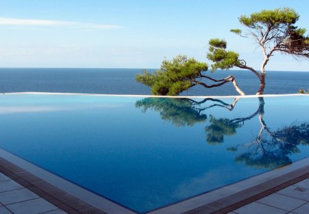 wonderful infinity pool - tree, pool, reflection, sea