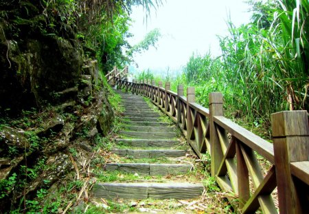 Mountain trail - wood railing, grasses, trail, mountain