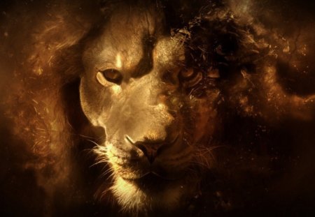 Lion - head, fantasy, lion, art work