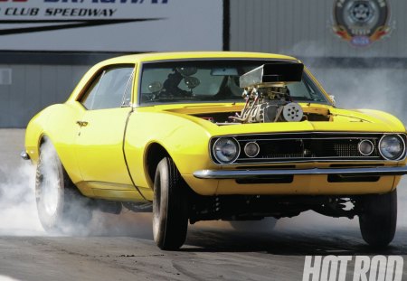 Camaro - yellow, car, chevy, camaro