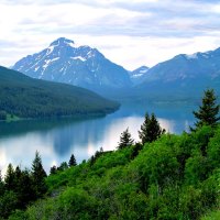 THE NATURE of PEACE