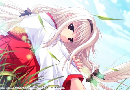 Akizuki Koharu - kagura gakuen-ki, cute, white hair, anime, girl, akizuki koharu, grass, red eyes, sky, long hair, miko dress