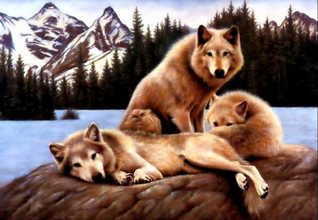 Wolf Family Portrait - wolves, art, abstract, mountain, snow, beautiful, animal, digital