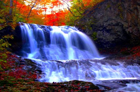 FOREST FALLS - waterfalls, forest, cascade, autumn