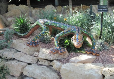 Green Iguana with cactus  - green, brown, iguana, cactus, stones