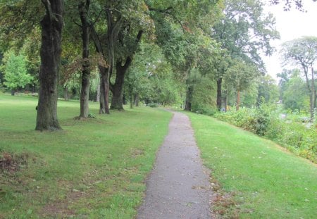 Lonely Park Trail - trail, lonely trail, trail in a park, lonely park trail, back trail, park