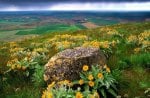 spring rain over rural fields