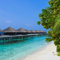 bungalow hotel on a tropic beach