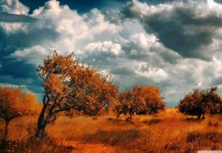 armenia-byurakan - fields, trees, nature, clouds