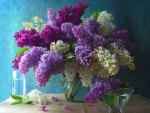 Lilacs Still life