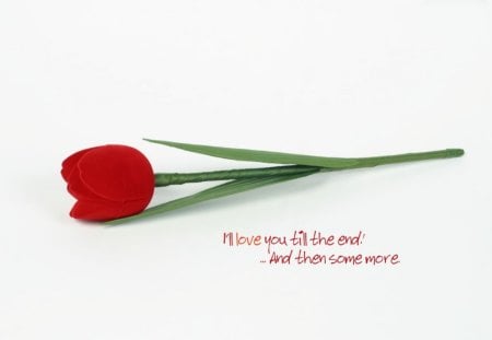 Eternal love - saying, eternal, quote, love, tulip, life